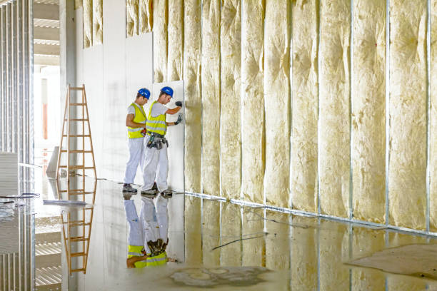 Paloma Creek South, TX Foam Insulation Services Company